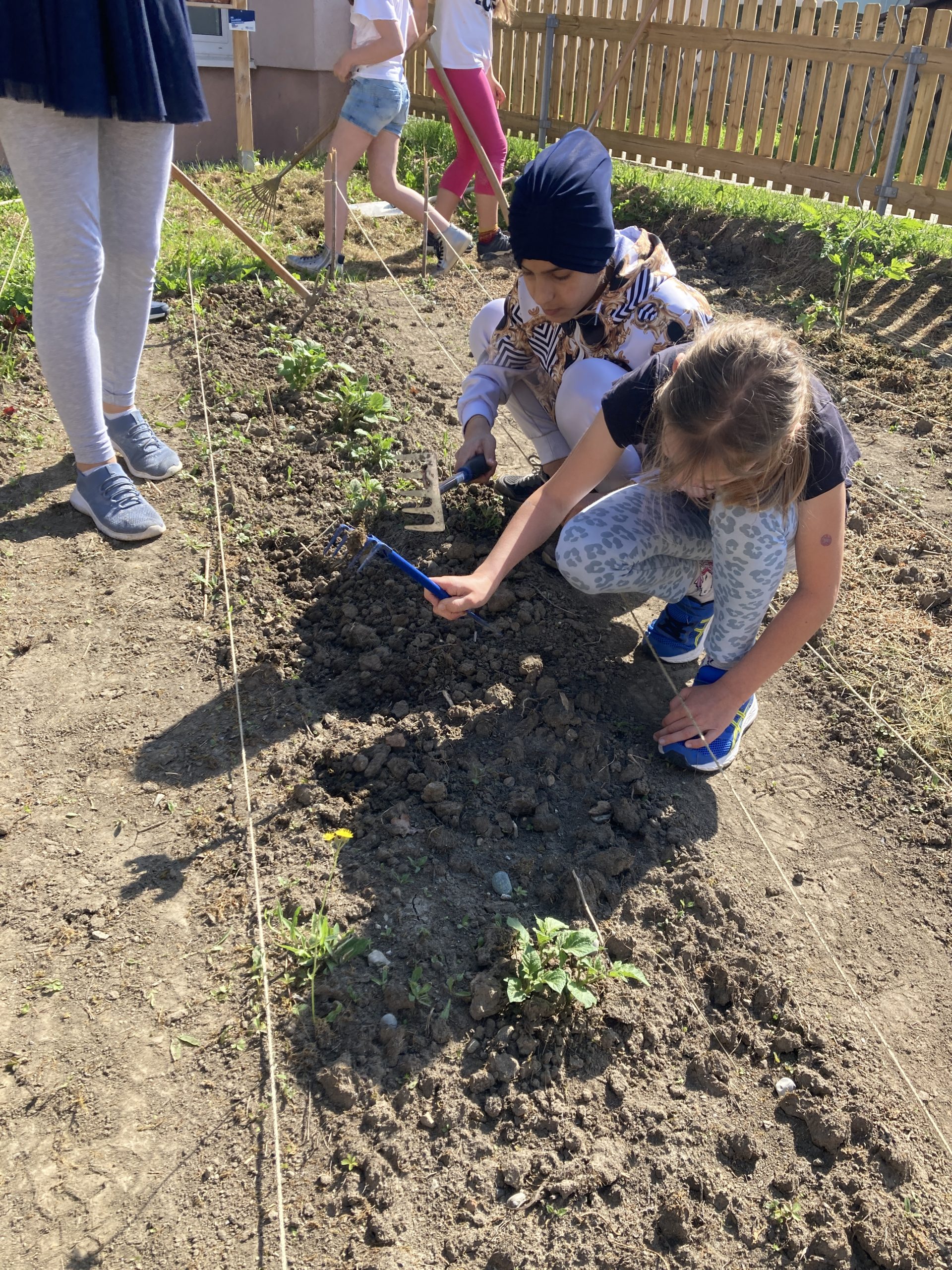 19.Mai 22 – immer was zu tun